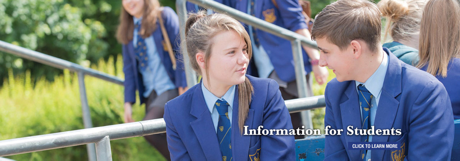 web design for farnborough school