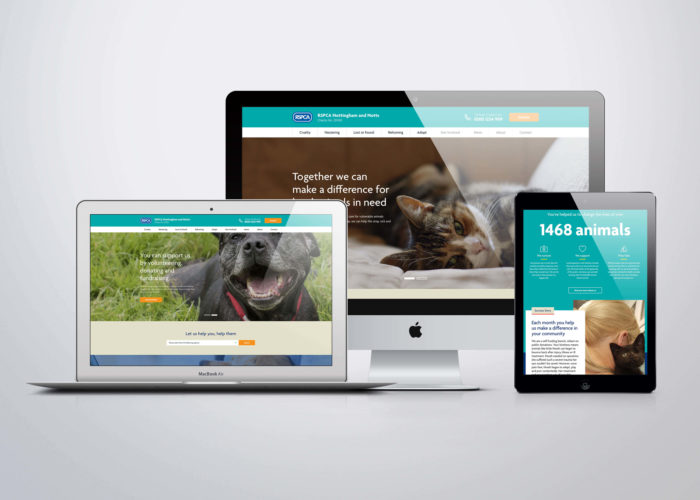 RSPCA New Website Design Fifteen