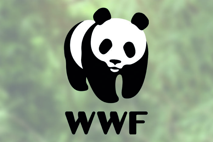 WWF Logo Design