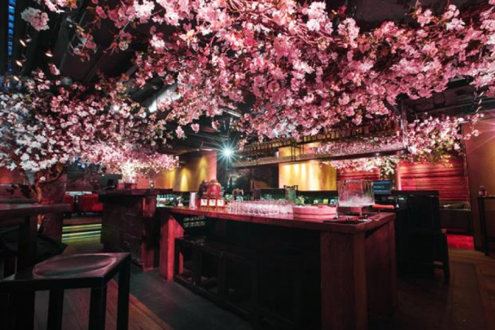 suntory cherry blossom bar