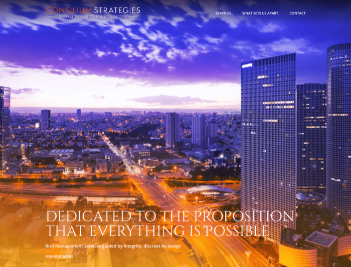 Consilium Strategies Header Image